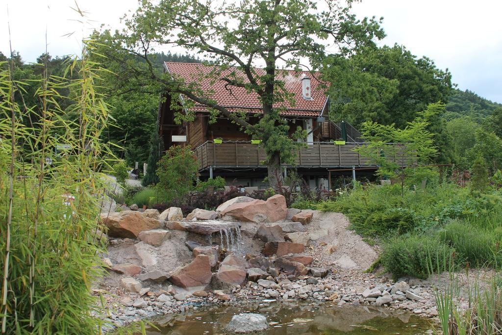 Kastanienhof Apartment Hotel Dannenfels Exteriör bild